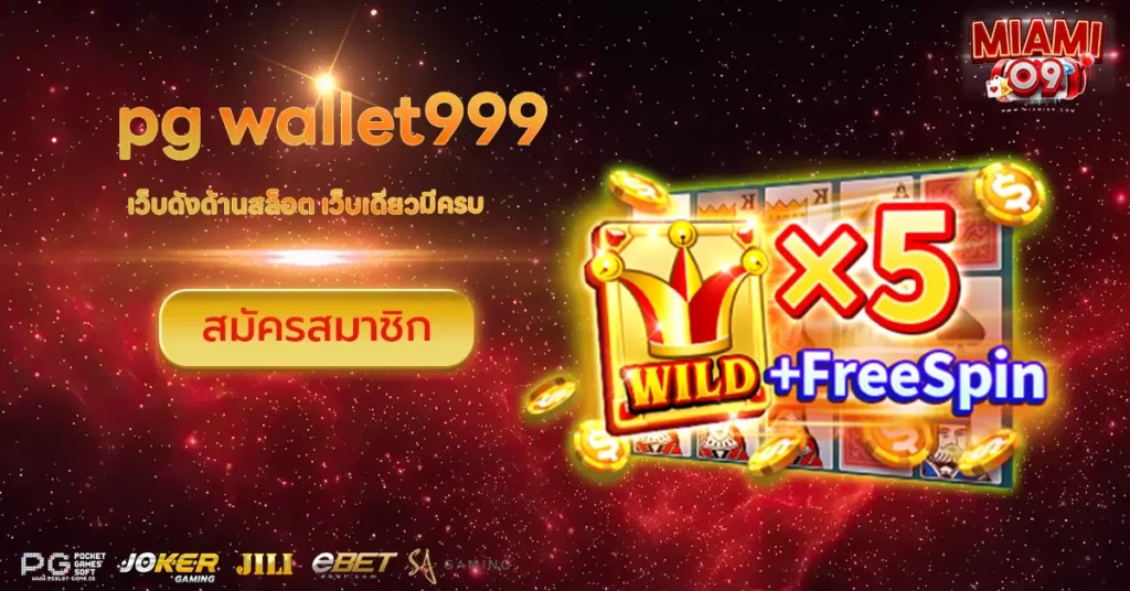 pg wallet999