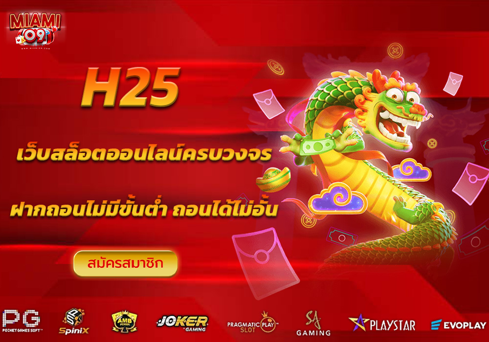 H25